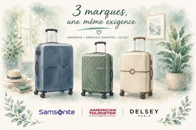 valise