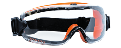 PSA Zubehör - Schutzbrillen