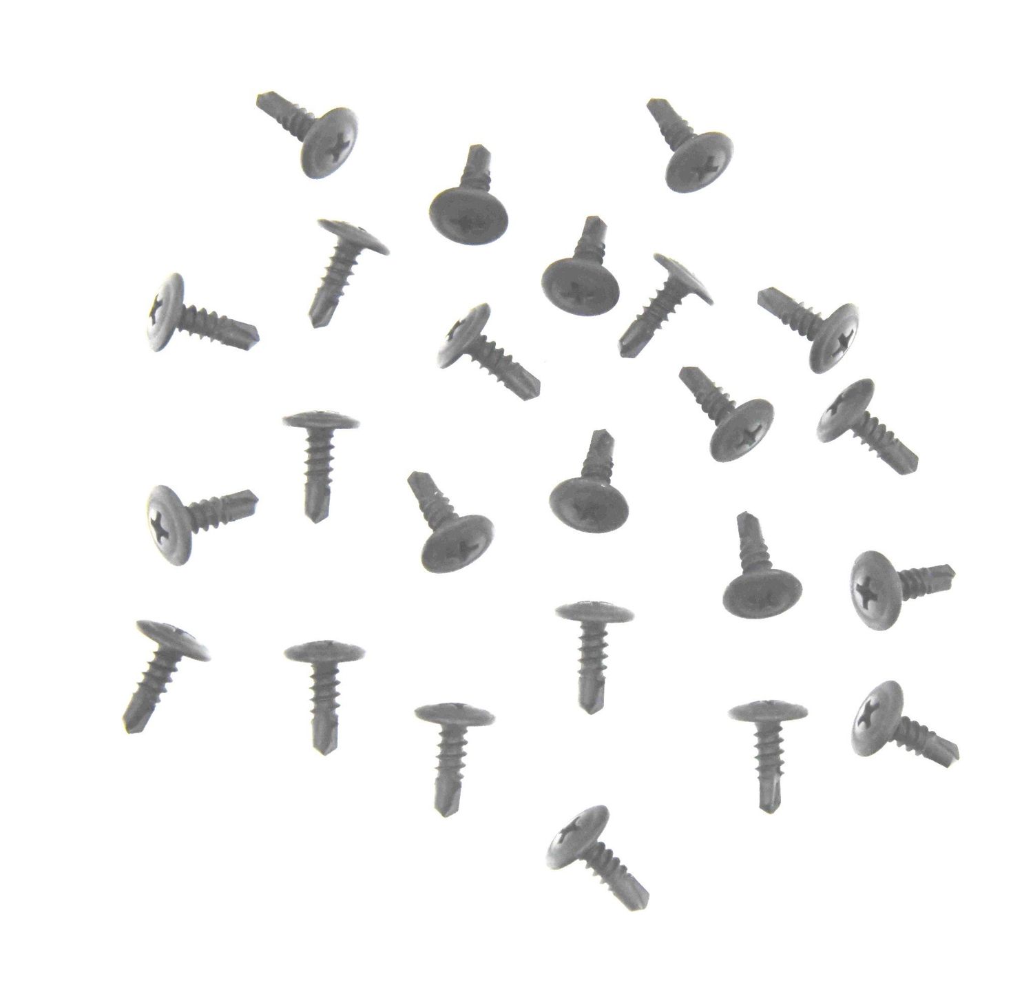 Roof Rail Weatherstrip Channel Self-Tapping Screw Kit 24-Pc