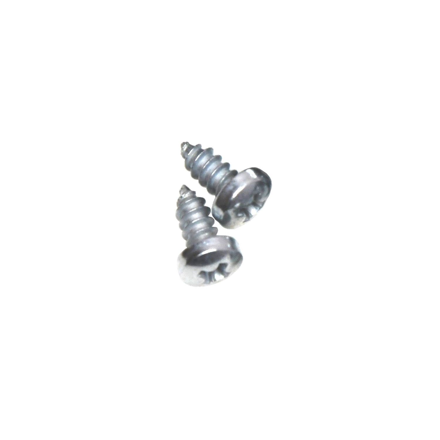 1964-72 GM Dome Light Base Screws Pair
