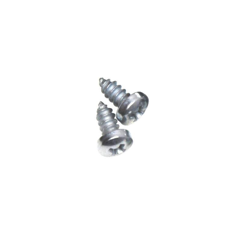 1964-72 GM Dome Light Base Screws Pair