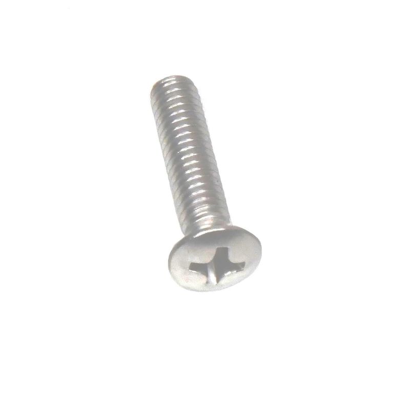 Door Mirror Mounting Screw