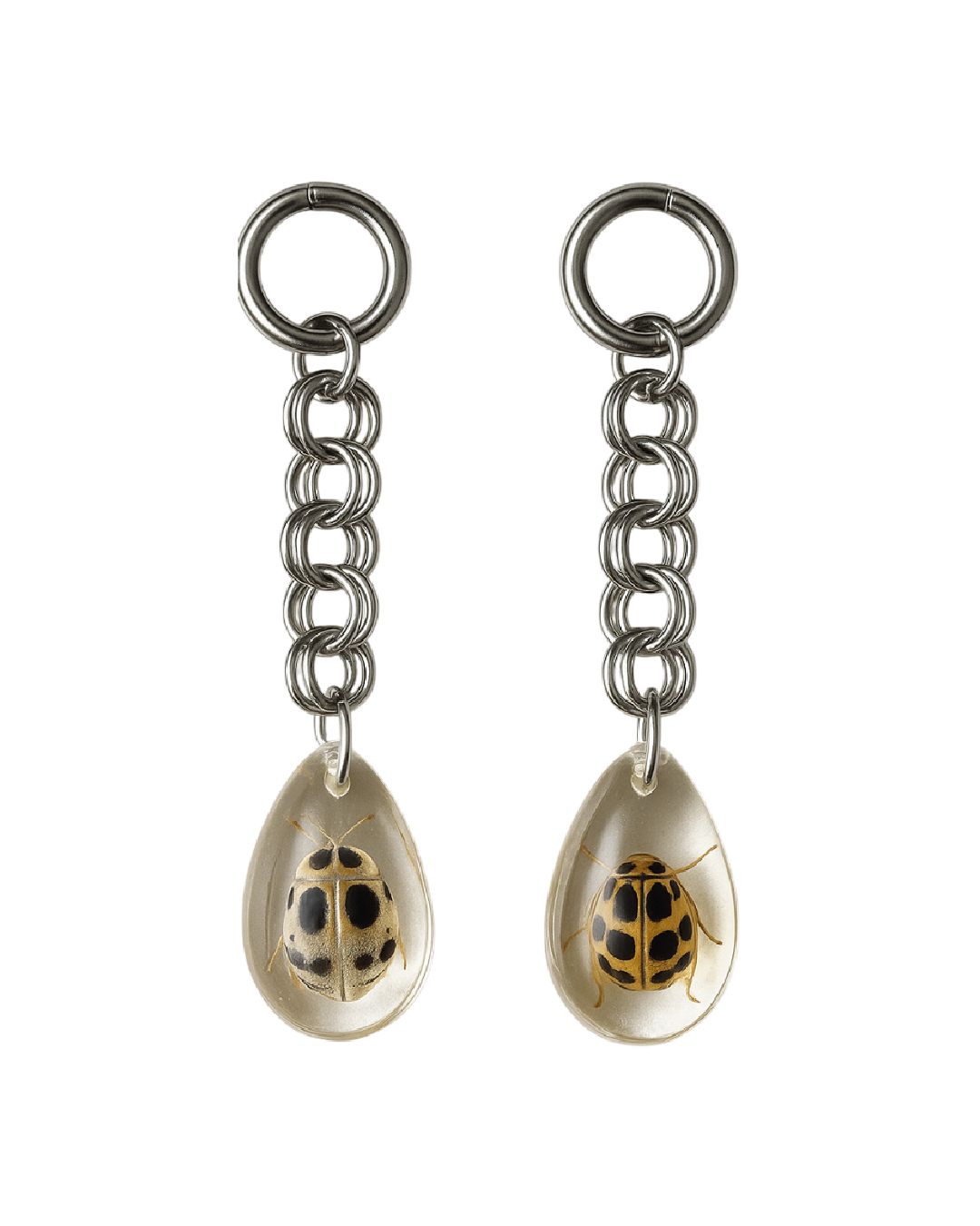 Aretes largos con insecto disecado