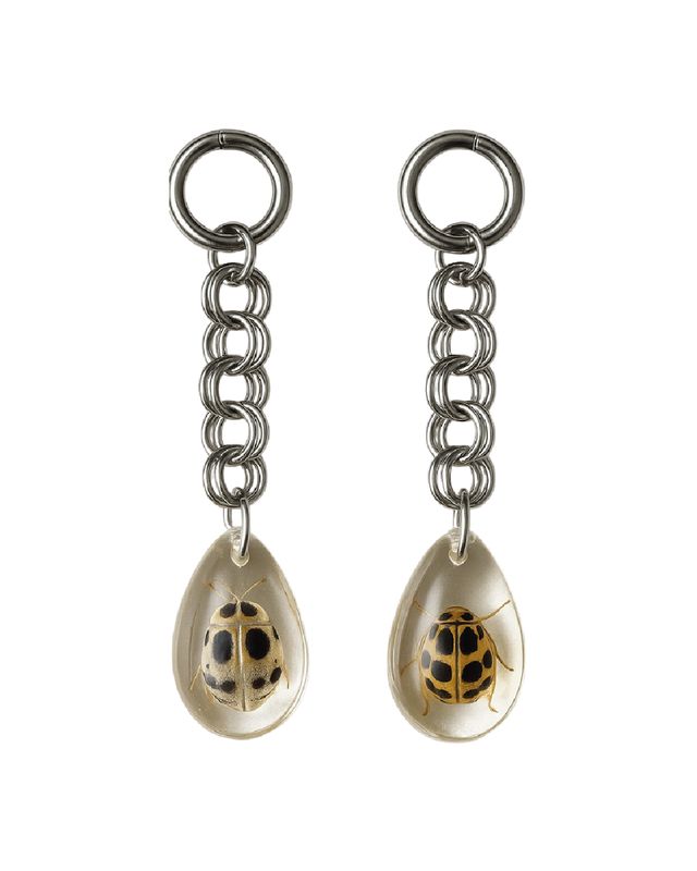 Aretes largos con insecto disecado