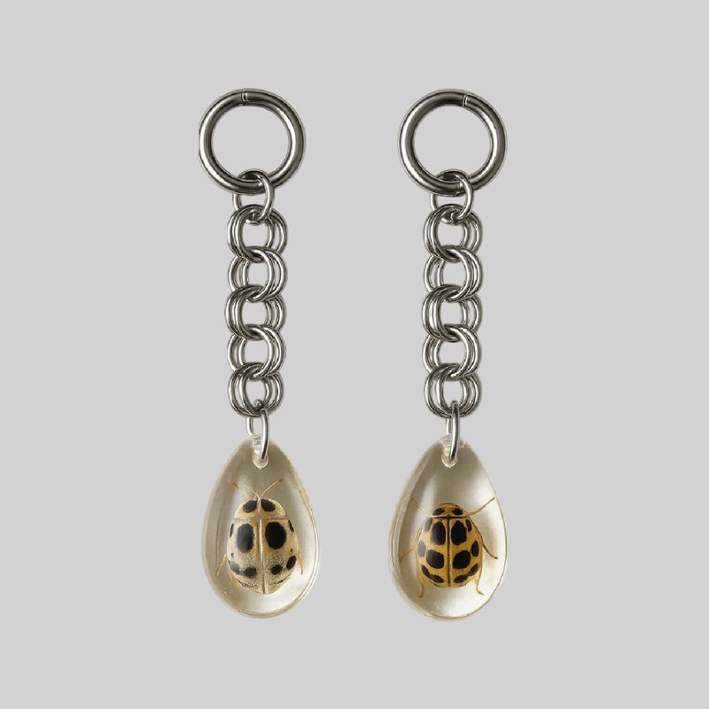 Aretes largos con insecto disecado