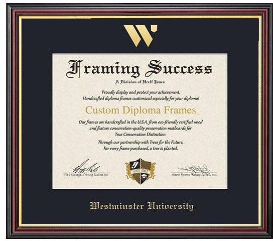 Academic Frame
