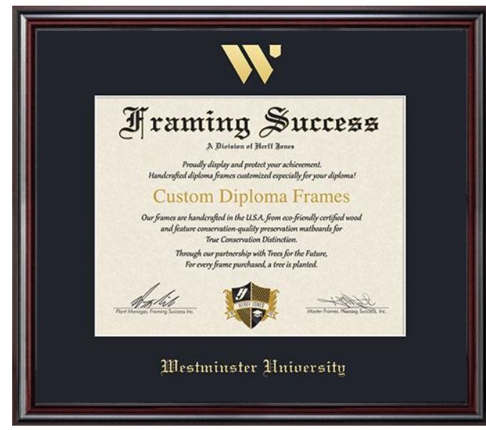 Elite Frame