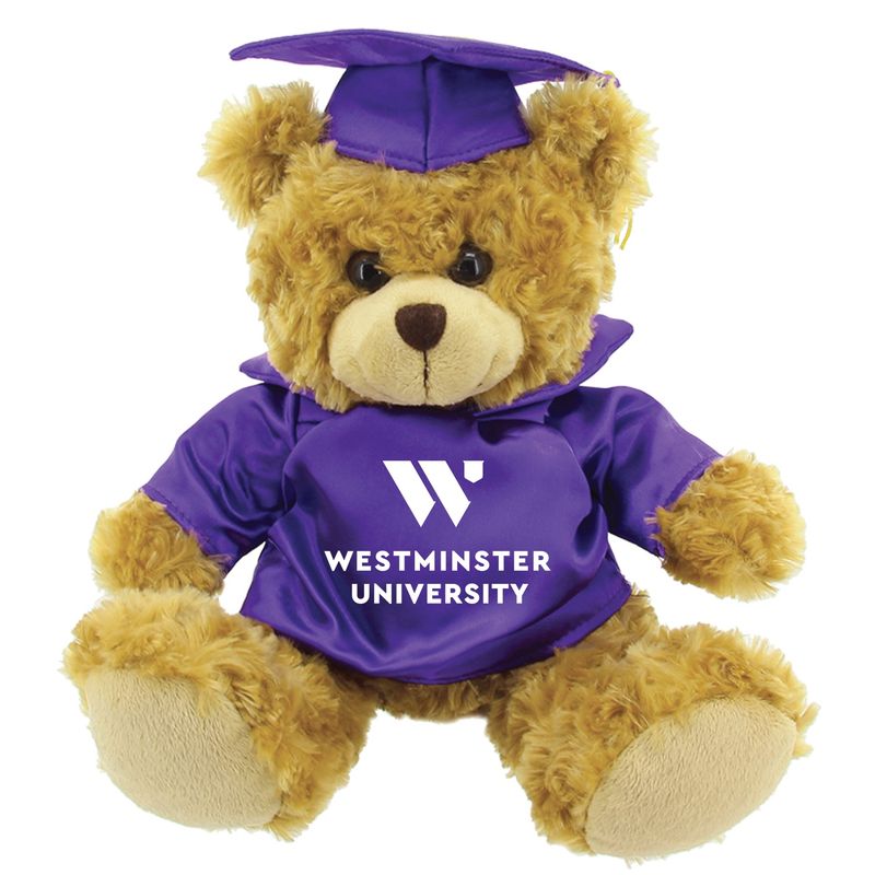 Graduation Bears