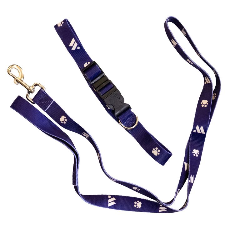 Dog Collar and Leash Set