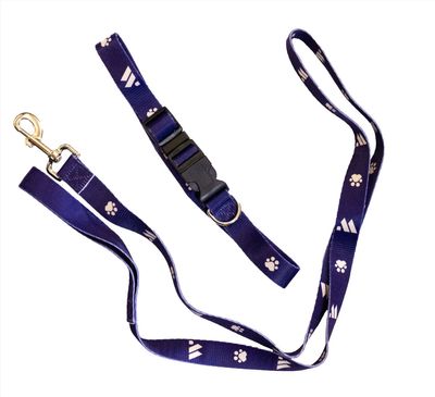 Pet Accessories