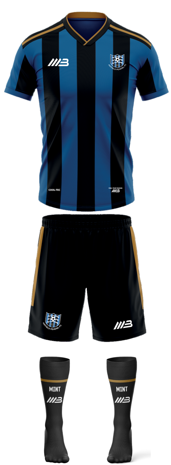 Hatfield Peverel FC (Short sleeves) home Kit