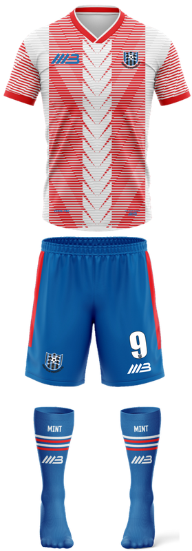 Hatfield Peverel FC (Short sleeves) Away Kit