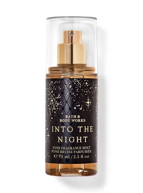 INTO THE NIGHT TS MIST