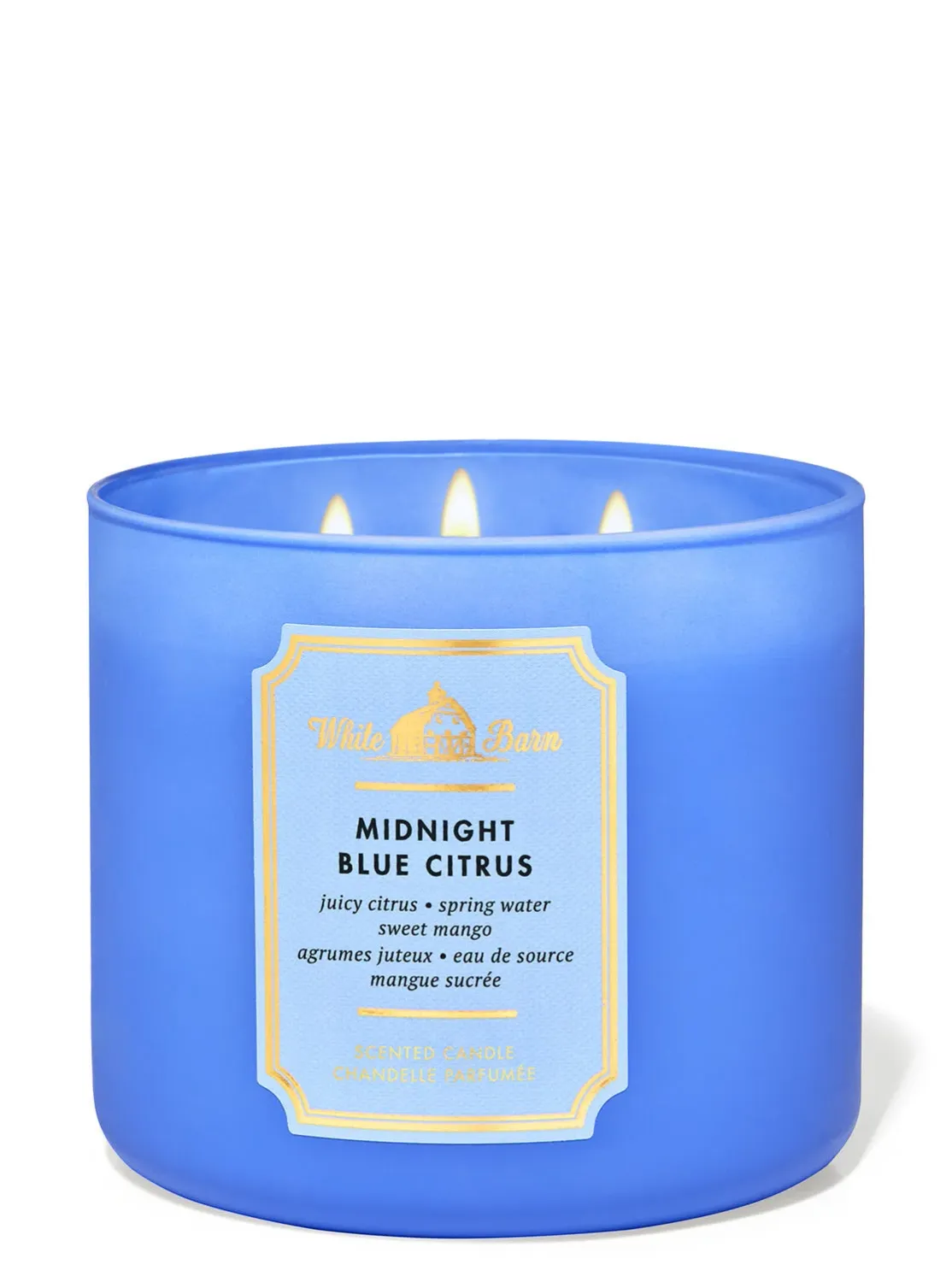 Midnight Blue Citrus WICKS CANDLE INTRANSIT