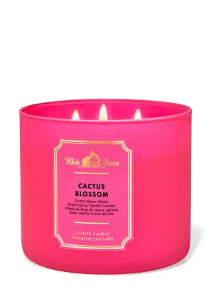 Cactus Blossom WICKS CANDLE  INTRANSIT