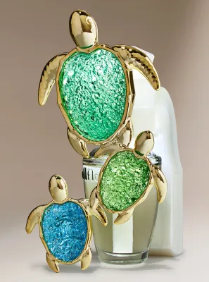 TURTLE WALLFLOWER PLUG INTRANSIT