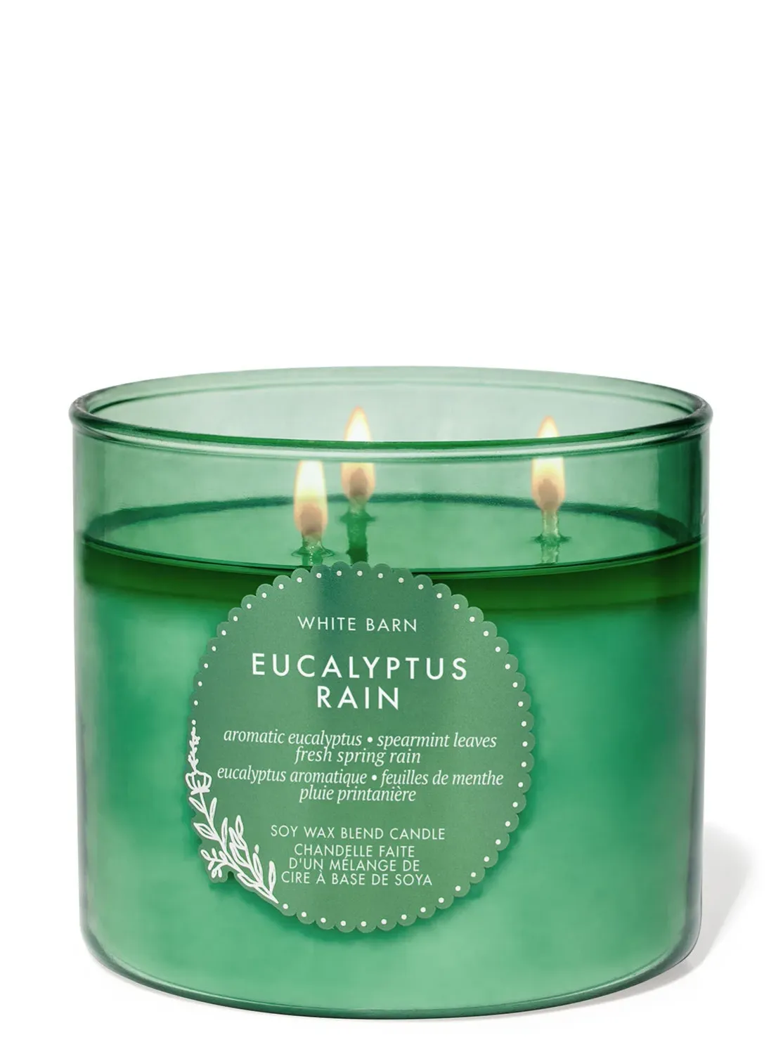 Eucalyptus Rain 3WICKS CANDLE PRE-ORDER