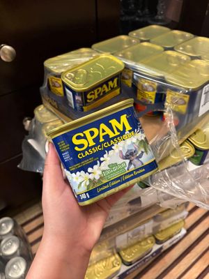 SPAM CLASSIC INTRANSIT