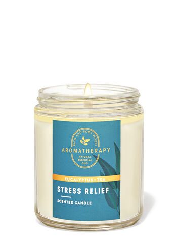Eucalyptus + Tea 1WICK CANDLE INTRANSIT