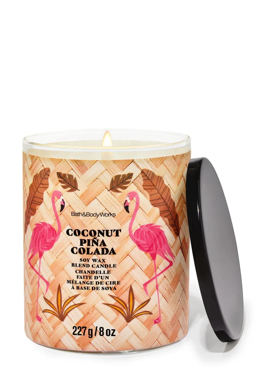 Coconut Pina Colada 1WICK CANDLE INTRANSIT