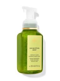 EUCALYPTUS MINT HANDSOAP INTRANSIT
