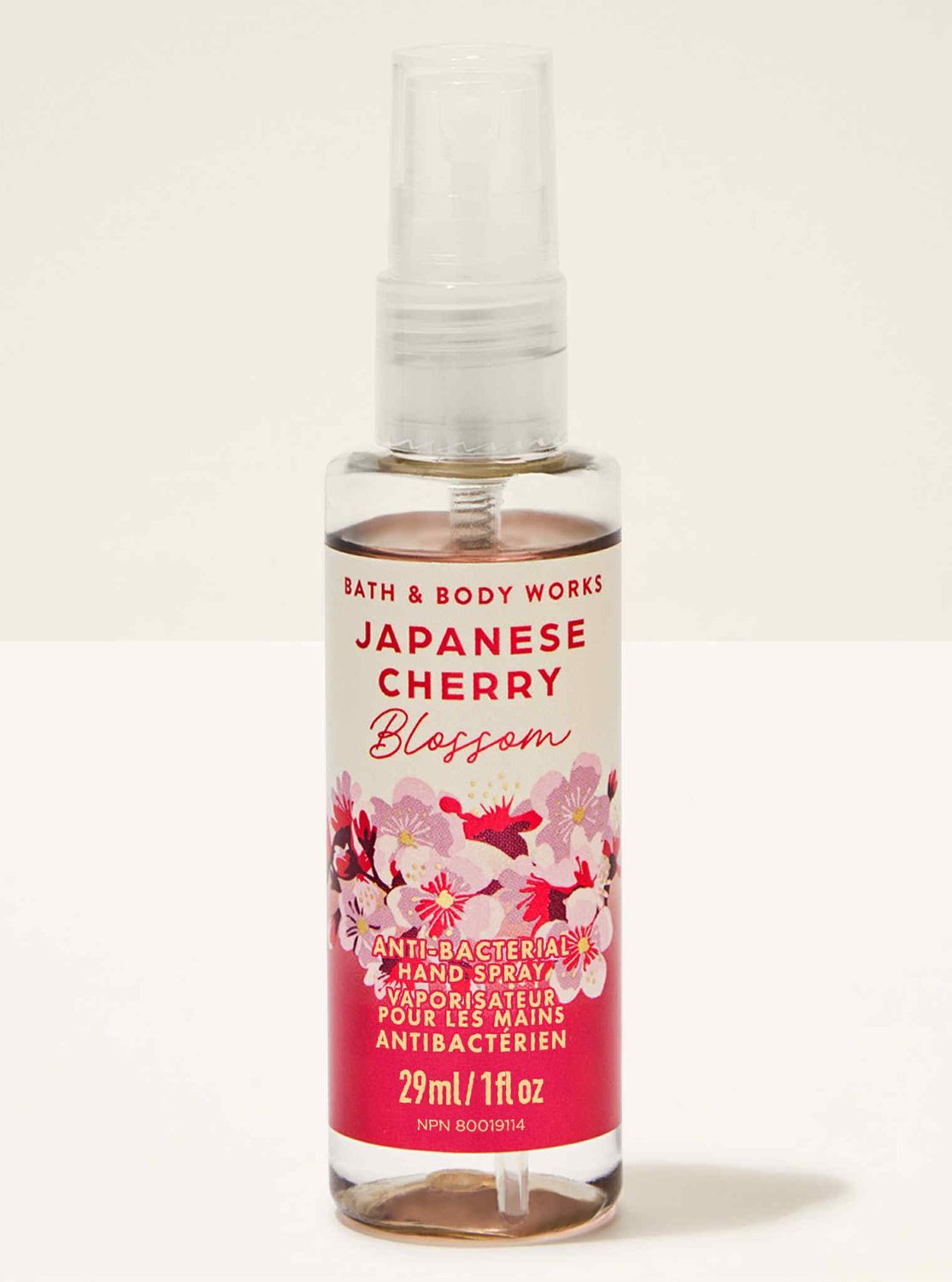 JAPANESE CHERRY BLOSSOM HS INTRANSIT B14