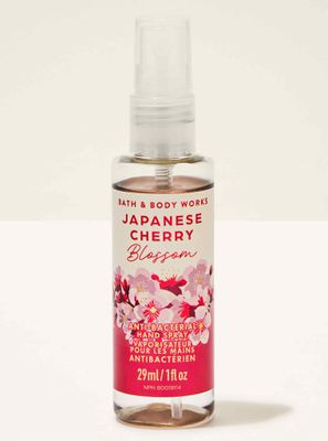 JAPANESE CHERRY BLOSSOM HS INTRANSIT B14