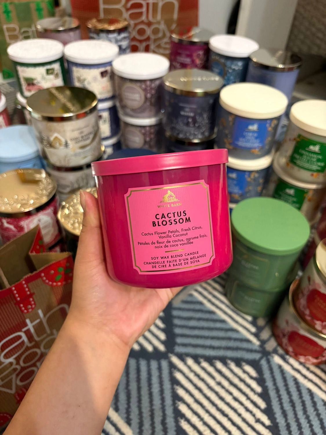 CACTUS BLOSSOM 3WICKS INTRANSIT B14