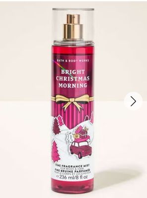 BRIGHT CHRISTMAS MORNING MIST B15