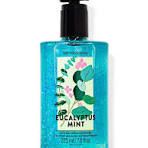 EUCALYPTUS MINT HAND SANI