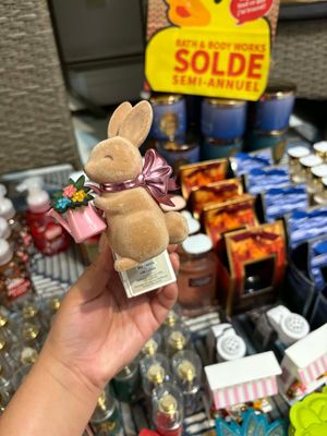 BUNNY WALLFLOWER PLUG ONHAND