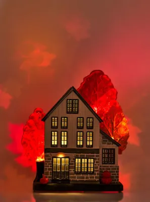 HOUSE IN AUTUMN WALLFLOWER PLUG ONHAND