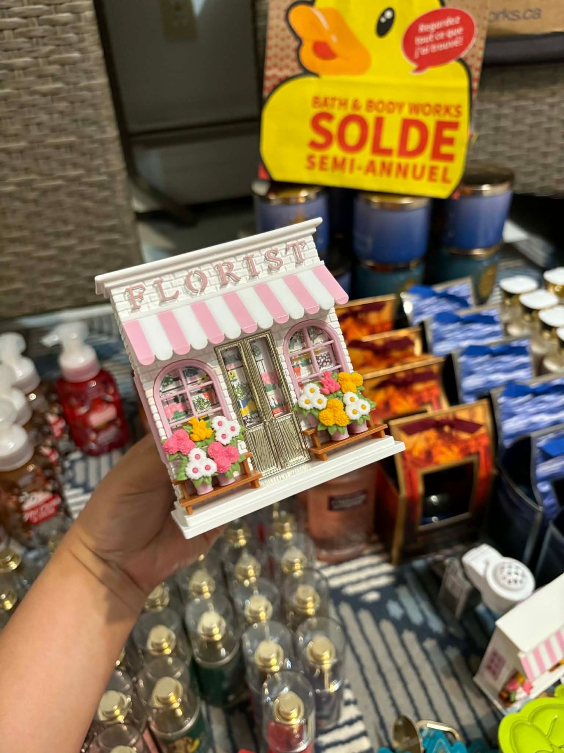 FLORIST WALLFLOWER PLUG ONHAND