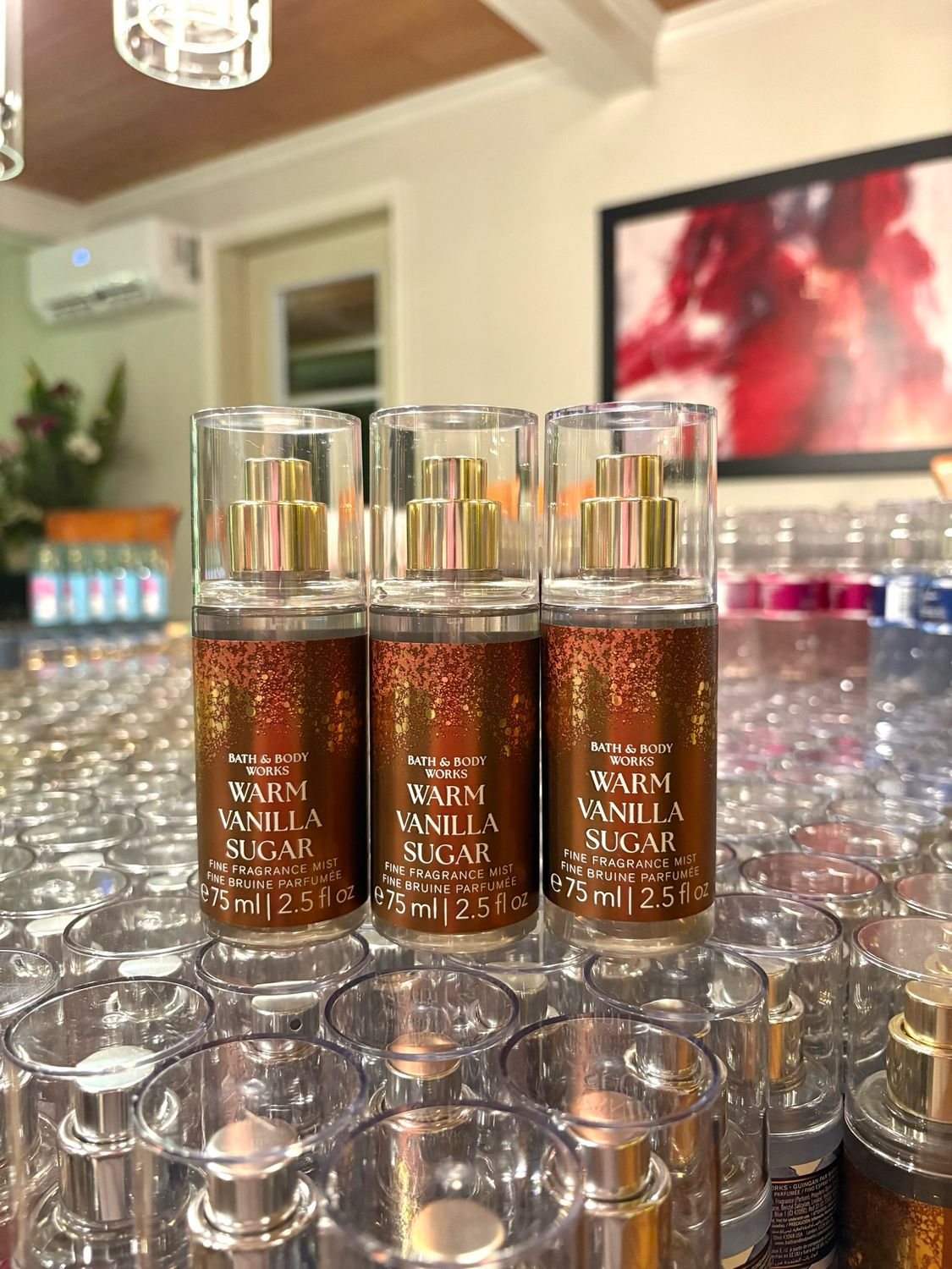 WARM VANILLA SUGAR TS MIST PRE-ORDER B16