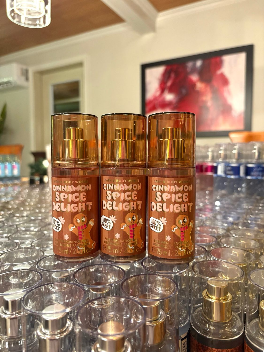 CINNAMON SPICE TS MIST PRE-ORDER B16