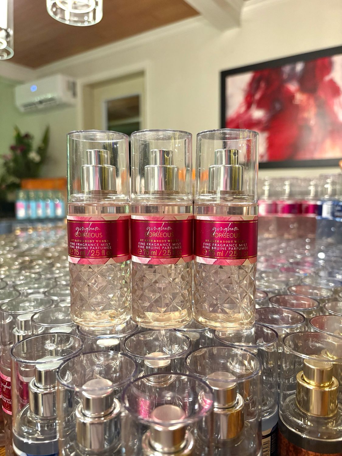 GINGHAM GORGEOUS TS MIST PRE-ORDER B16