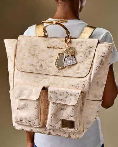 DISNEY BACKPACK INTRANSIT ETA:JULY/AUG