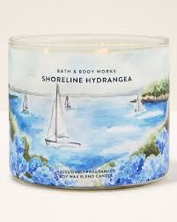 SHORELINE HYDRANDGEA 3 WICK CANDLE