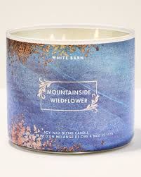 MOUNTAINSIDE WILDFLOWER 3 WICK CANDLE
