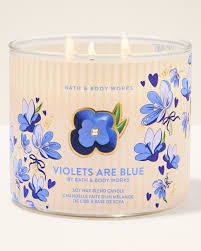 VIOLETS ARE BLUE 3 WICK CANDLE