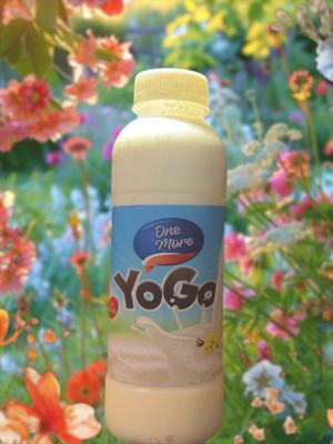 ONE MORE YOGO ( bulk)