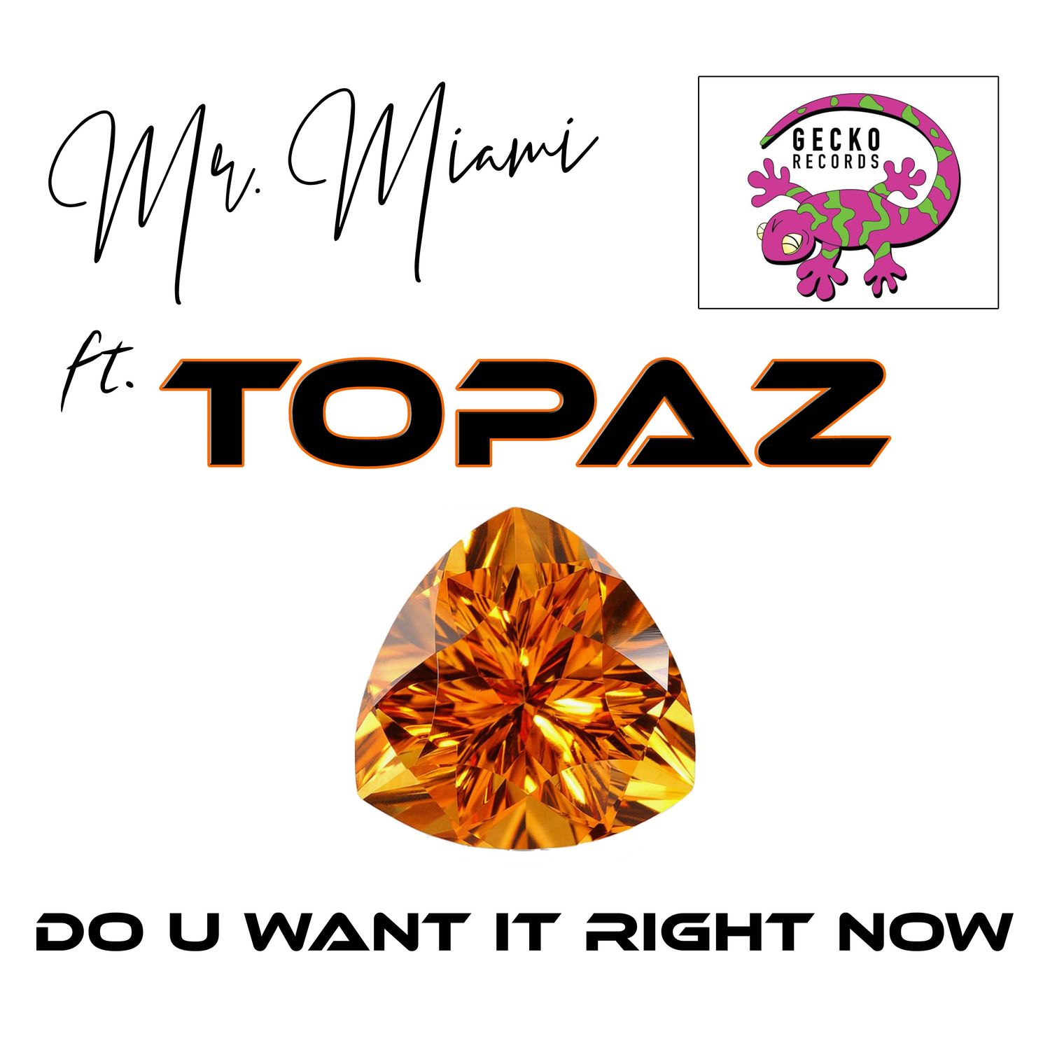 Do U Want It Right Now (Clean) - Mr. Miami ft. Topaz (MP3 Digital Download 128kps)