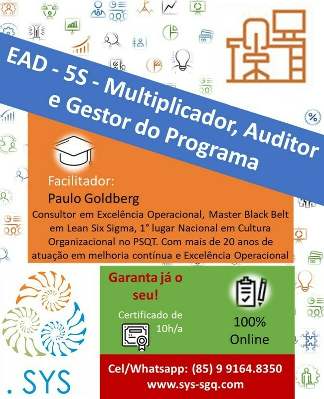 EAD - 5S - Multiplicador, Auditor e Gestor do Programa