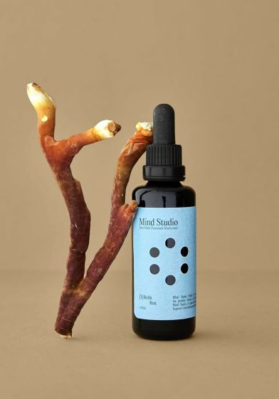 Reishi - Immunity - Mind Studio