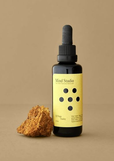 Chaga - Rise - Mind Studio