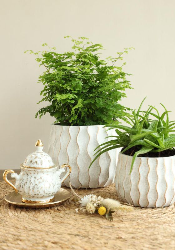 Wave pot cement