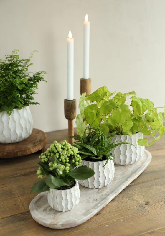 Wave pot cement
