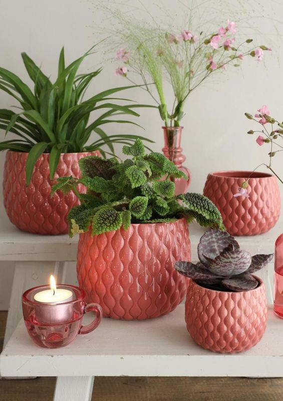 Pot Bubbles - Vieux Rose