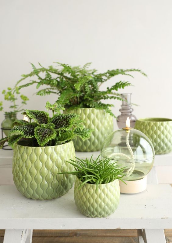 Pot Bubbles - Green