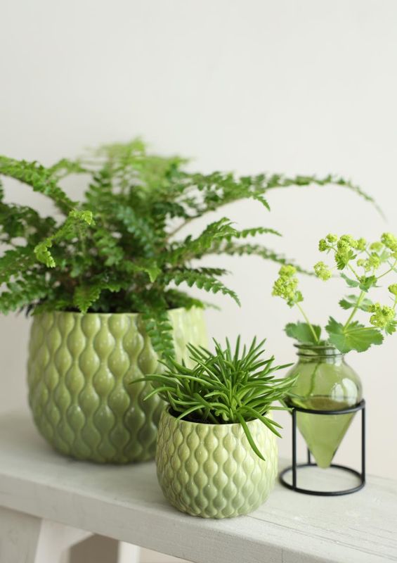 Pot Bubbles - Green